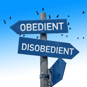 What does Jesus say about Obedience