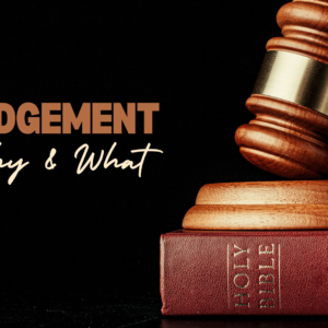 Judgements: Why and What